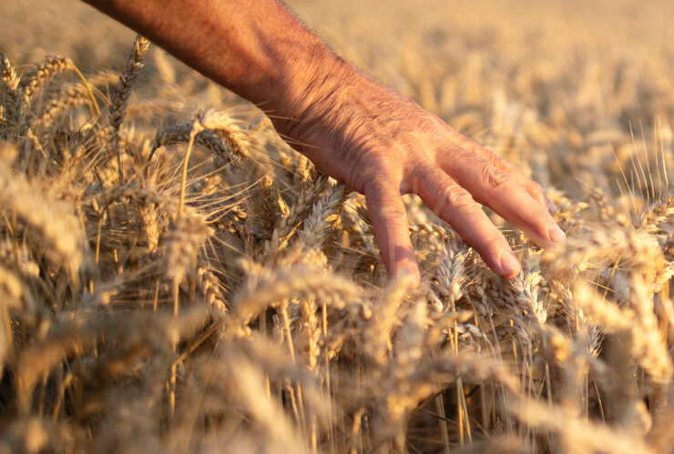 harvest-capital-team-work